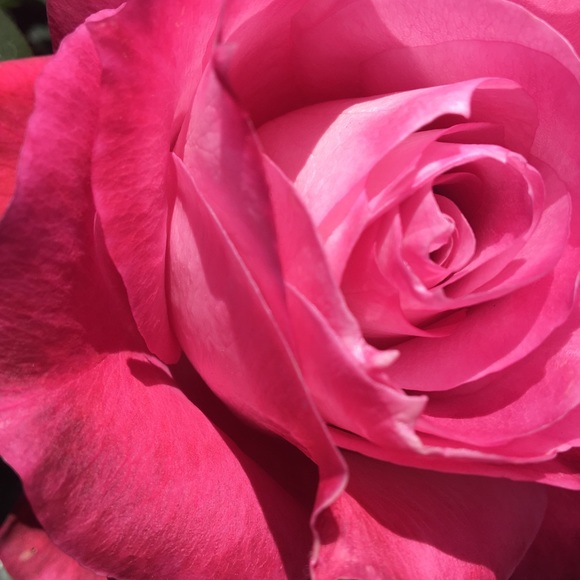 Meet your Posher, Gillian - Picture 1 of 1